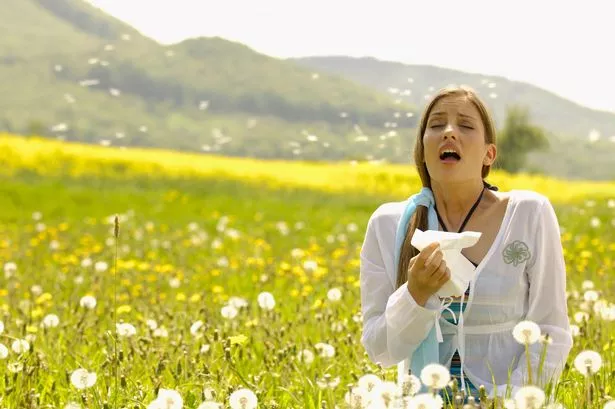 Hayfever-Free Haven