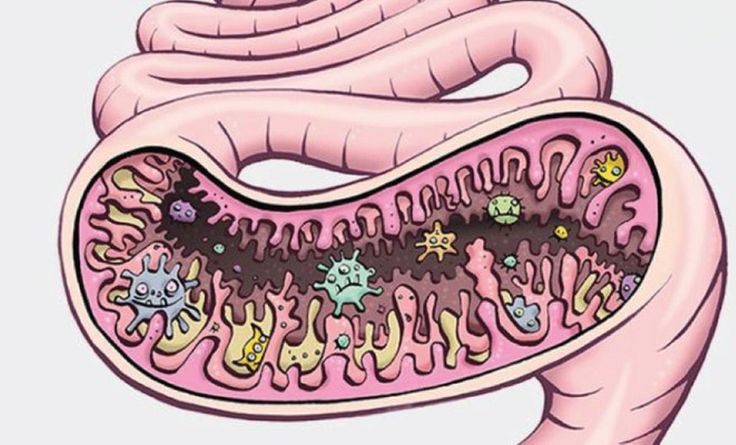 Gut Microbiome