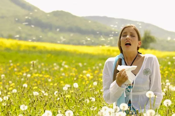 Defend Against the Early Pollen Onslaught: Your Guide to a Hayfever-Free Haven post thumbnail image